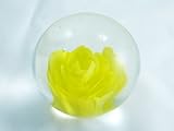 IMAGE OF Murano Design Mouth Blown Yellow Flower Crystal Handmade Art Glass Paperweight PW-020
