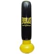 Kids Punching Bag and Kids Boxing Gloves Set