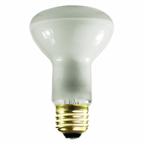 28 to 30 Watt Litetronics L-789