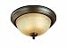 Westinghouse Lighting 69449 Conestoga Flush Mount Bronze