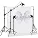 750 Watt Continuous Light Kit with Umbrellas,backdrop and a Support System