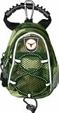 Texas Longhorns Camo Mini Day Pack (Set of 2)