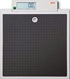 SECA 875 class III approved Scale