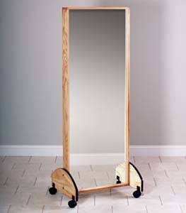 Mobile adult mirror