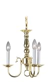 Livex Lighting 5013-01 Williamsburg 3 Light Polished Brass Chain Hung / Flush Mount Mini Chandelier