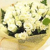 ���n�̃o���̉ԑ��@20�{�@�G�߂̃O���[���t���y���ԁz�y���j���z�L�O���z�y�a�����z�y�t�����[�M�t�g�z�y�o���z