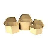 Paper Mache Lrg Box Set/3 Hexagon