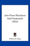 Ants From Honduras And Guatemala (1922)