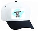 White Cap with kid, human, body, individuals, individual, persons, goat, humans, people, standing, farm, person, gray