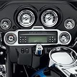 Radio and Gauge Faceplate Trim
