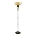 Portfolio Bronze Floor Lamp with Night Light CF212299