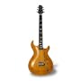 Line 6 Variax 700 Guitar, Amber Tremolo