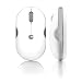 Macally Portable 2.4 GHz Wireless Optical Mouse for Mac and PC (White)