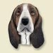 Basset Hound Dog Magnet