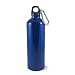 Liquid Logic Trek Aluminum Water Bottle with Carabiner (28-Ounce)