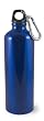 Liquid Logic Trek Aluminum Water Bottle with Carabiner (28-Ounce)