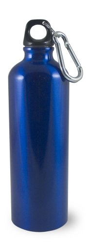 Liquid Logic Trek Aluminum Water Bottle with Carabiner (28-Ounce)