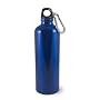 Liquid Logic Trek Aluminum Water Bottle with Carabiner (28-Ounce)