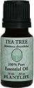 Tea Tree 100% Pure Essential Oil - 10 ml