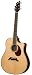Breedlove Pro Series D25/SR, Herringbone Acoustic Electric Guitar, Made in U.S.A.