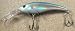 Sporting Goods : JLVLures JLV Lures Curved Minnow Freshwater Diver American Shad : Walleye Sauger Pike Bass Steelhead Crankbait Deep Troll Tantalizing Curve Body Wobble Kicking Rattle Rattling Trolling Casting Cast Treble Bronze Hook Darting Structure Fishing Gravel Bottom Rock Stump