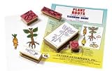 STAMP SET LIFECYCLE PLANT ROOTS