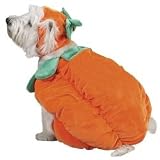 Halloween Pumpkin Costume Small