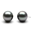 HinsonGayle Handpicked AAA 12.0-13.0mm Peacock Black Tahitian Cultured Pearl Stud Earrings (14K White Gold)