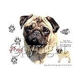 Pug Adult T-Shirt