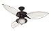 31prLhtJG5L. SL75  How to Choose the Best Ceiling Fan for your Needs!