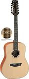 Acoustic guitar - Faith natural range - Saturn 12 string - Shadow electronics - Engelmann spruce top with solid Mahogany back and sides - Hard case included - stunning looks, great playability - excellent value