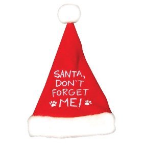 Santa, Don't Forget Me Pet/Dog Hat