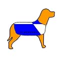 Blackburn Rovers Personalised Waterproof Dog Coat Size XXXL (34" 86cm)
