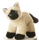 Plush Umi Siamese Cat Mini Flopsie 8