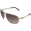 Von Zipper Skitch Sunglasses Gold/Moss Gradient, One Size