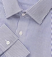 Autograph Pure Cotton Striped Shirt