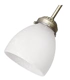 31psEm0ouZL. SL160  Hunter Fan Company 28893 Goblet Accessory Glass Fan Light Kit