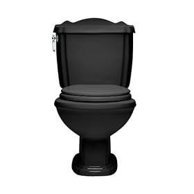American Standard 2266.015.178 Repertoire Two-Piece Round Front Toilet, Black