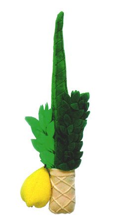Plush Lulav & Etrog Childrens Set