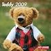 Books : 2009 Teddy 30x30 Calendar