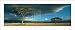 Chris Simpson - Olduvai Gorge Size 36x12 - Chris Simpson Art Print - Poster