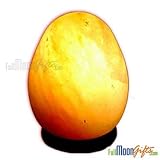 Himalayan Rock Salt Lamps Egg Shape 7~9Lbs