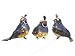Accent Design Floral and Garden Accents Wildlife Bird Quail 3 3 4 Standing, Feather, Brown Blue Orange Yellow