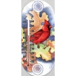 Suction Cup Thermometer -8 by 