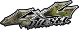 2010 F150 Wicked Series 4x4 Diesel Truck Decals in Real Camo