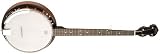 Washburn Banjo Starter Kit (Gig bag, Strap, Picks, Pitch Pipe)