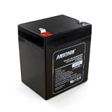 Amstron 12V/5AH Sealed Lead Acid Battery w/ F1 Terminal
