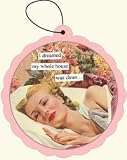 Anne Taintor I Dreamed My Whole House Was Clean Air Freshener