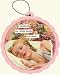 Anne Taintor I Dreamed My Whole House Was Clean Air Freshener