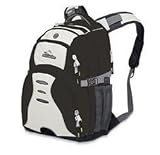 High Sierra Swerve Backpack, Flint/Oyster/Flint